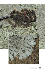 Load image into Gallery viewer, Urban Lichens: A Field Guide for Northeastern North America
