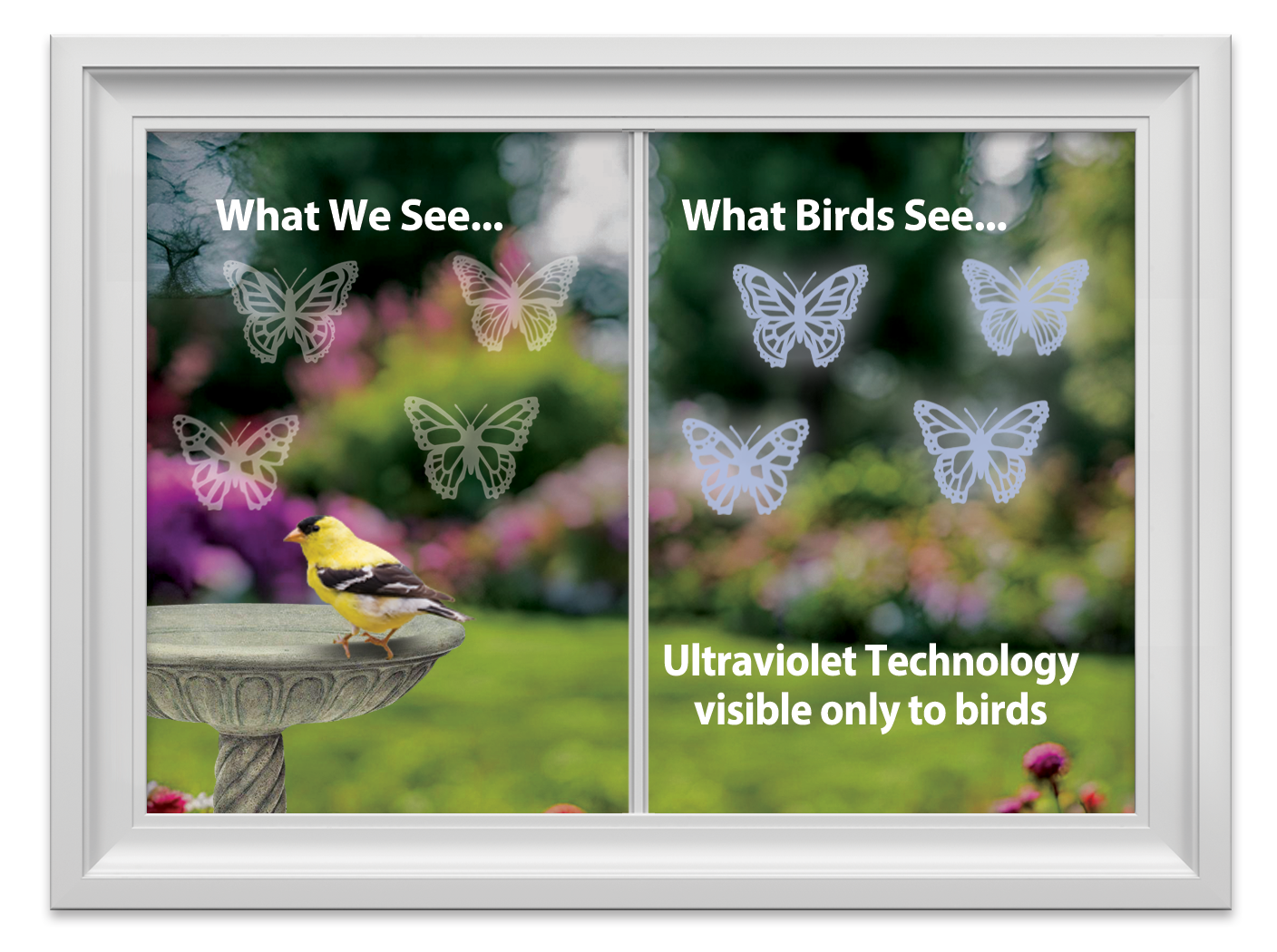 WindowAlert Butterfly Decals