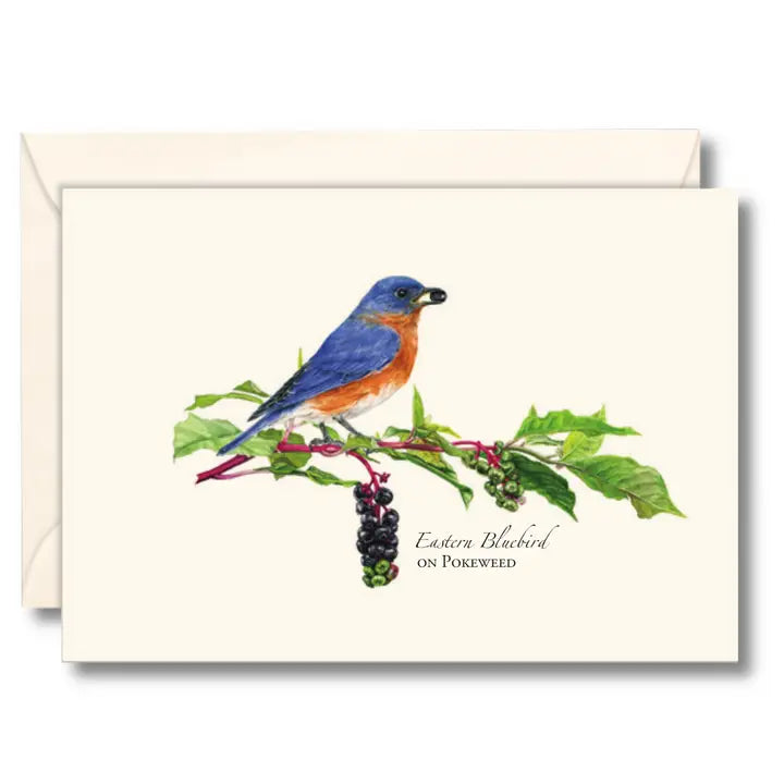 Illustrated 8-pack Boxed Notecard Sets