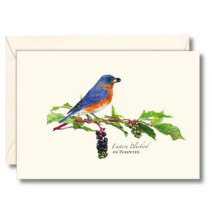 Illustrated 8-pack Boxed Notecard Sets