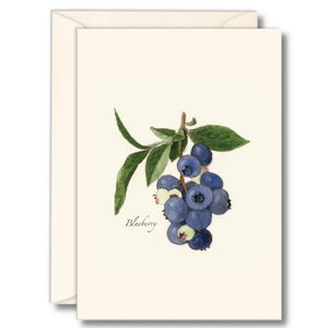 Illustrated 8-pack Boxed Notecard Sets