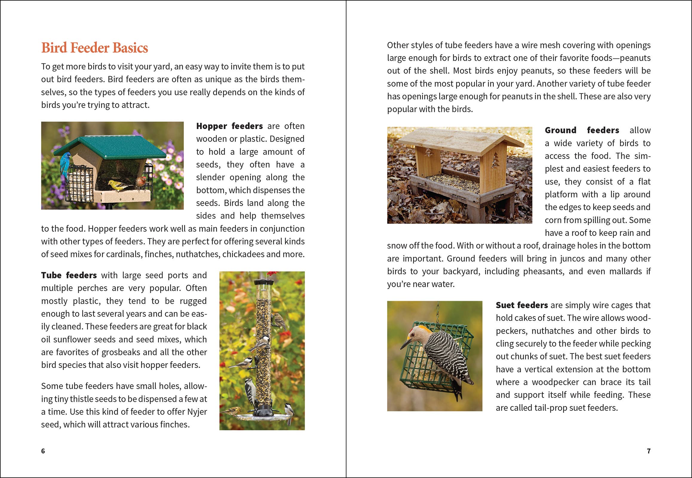 Stan Tekiela Birding Beginners: Northeast