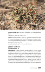 Load image into Gallery viewer, Urban Lichens: A Field Guide for Northeastern North America
