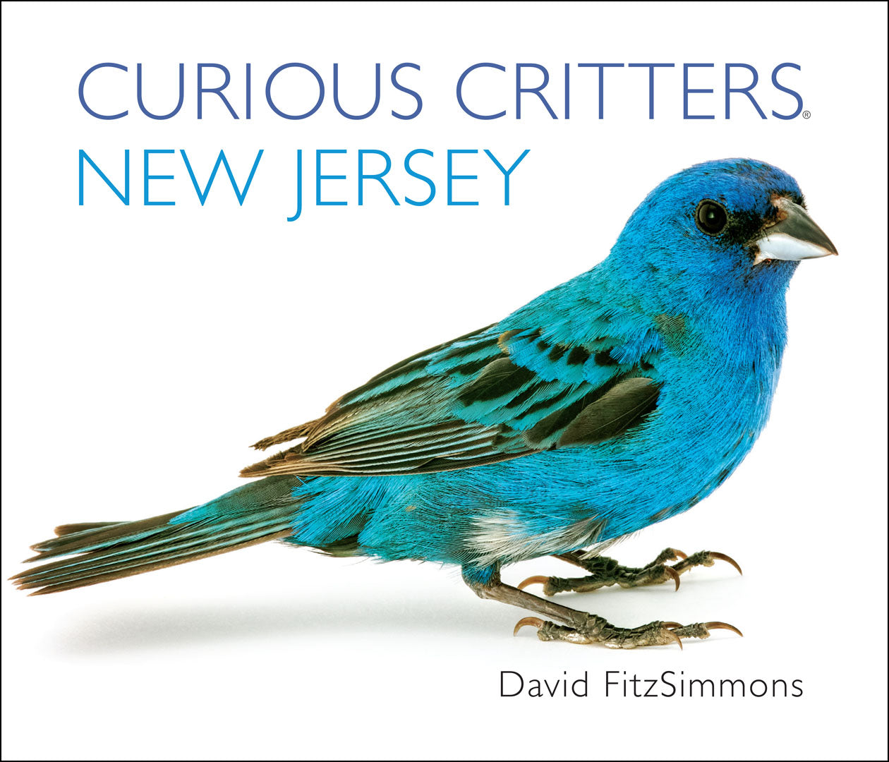 Curious Critters- New Jersey Board Book
