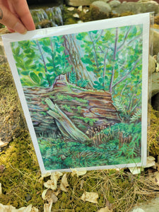 Forest Undergrowth Art Print