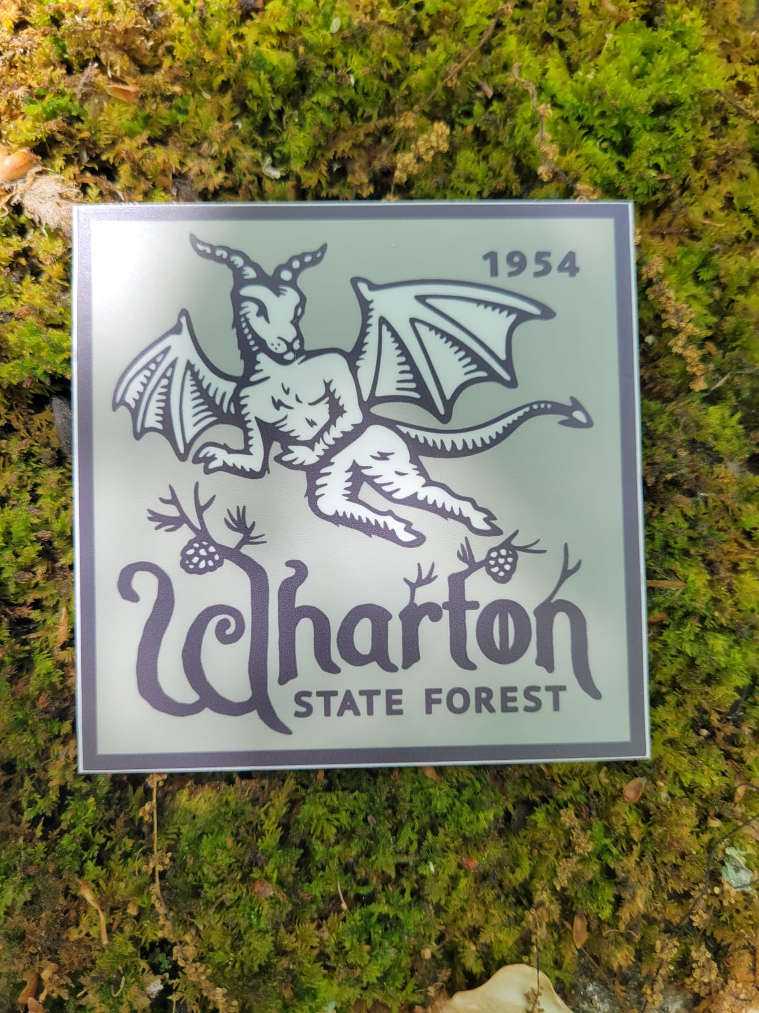 Wharton State Forest Sticker