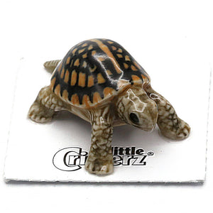 Box Turtle Porcelain Miniature