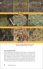 Load image into Gallery viewer, Urban Lichens: A Field Guide for Northeastern North America
