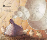 Load image into Gallery viewer, F is for Feathers picture book: A Bird Alphabet
