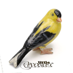 Goldfinch Porcelain Miniature