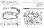 Load image into Gallery viewer, Animals &amp; Skeletons Activity Book

