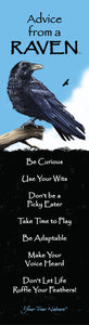 Advice from a Raven Laminated Bookmark