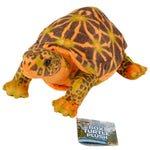 Load image into Gallery viewer, Medium Box Turtle Plush
