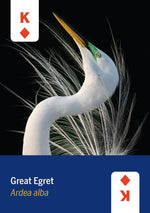 Load image into Gallery viewer, Birds of North America Playing Cards
