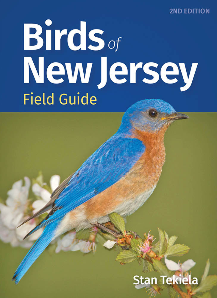 Birds of New Jersey Field Guide
