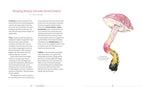 Load image into Gallery viewer, Mushrooming: An Illustrated Guide to the Fantastic
