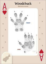 Load image into Gallery viewer, Animal Tracks of the Northeast Playing Cards
