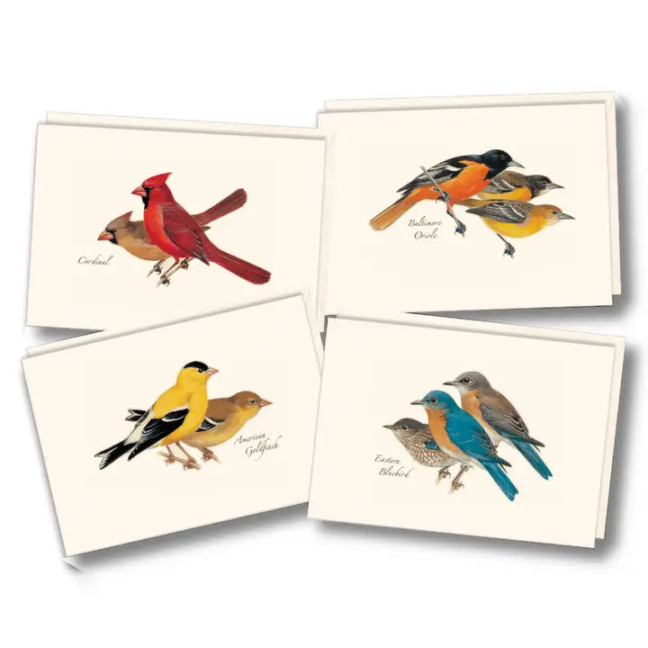 Illustrated 8-pack Boxed Notecard Sets