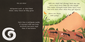 Shine-A-Light: Backyard Bugs Book