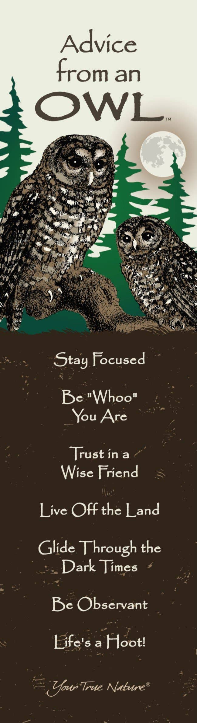 Advice from an Owl Laminated Bookmark