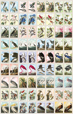 Load image into Gallery viewer, Audubon Memory Game
