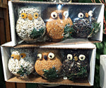 Load image into Gallery viewer, Owl Birdseed Ornament - 3 Pack
