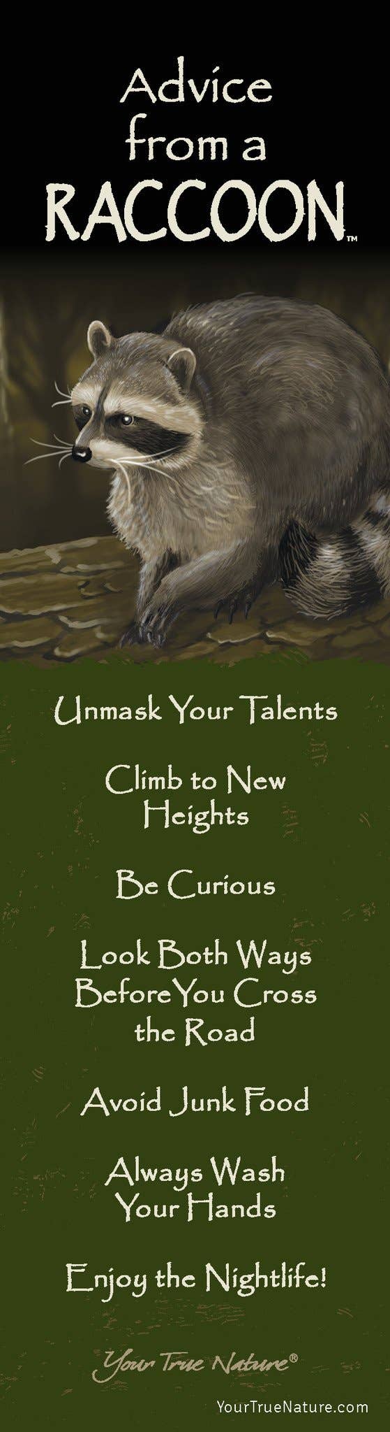 Advice from a Raccoon Laminated Bookmark