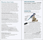 Load image into Gallery viewer, Bird Feathers &amp; Eggs of the Northeast Quick Guide
