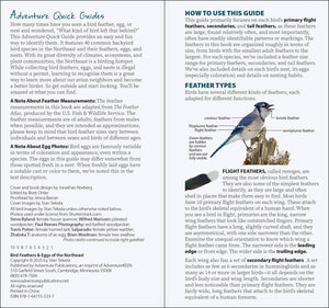 Bird Feathers & Eggs of the Northeast Quick Guide