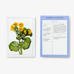 Load image into Gallery viewer, New York Botanical Garden Wildflower ID Flashcards
