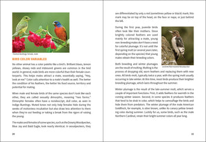 Stan Tekiela Birding Beginners: Northeast