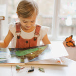 Load image into Gallery viewer, Life Cycle Of A Monarch Butterfly
