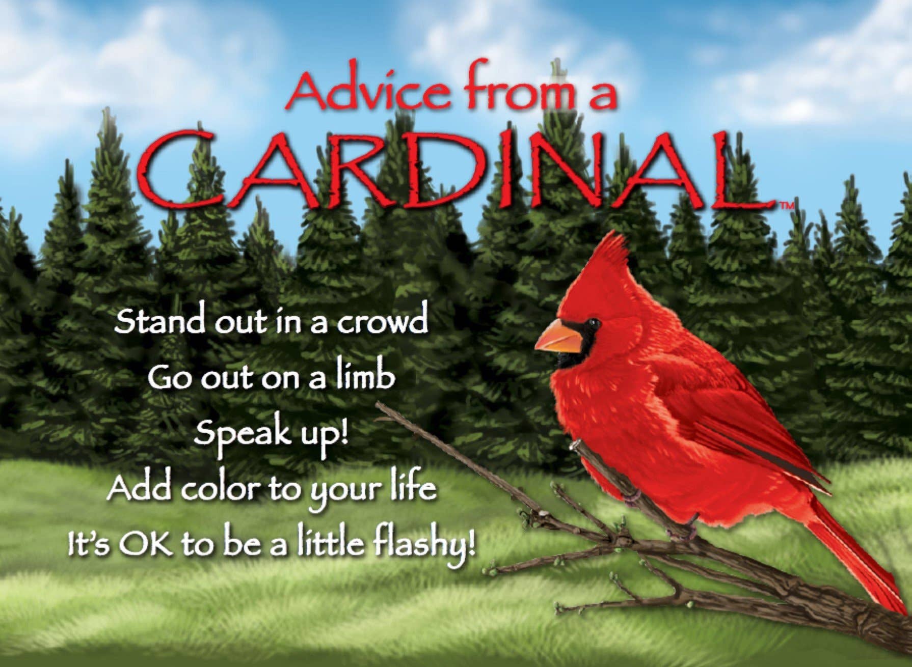 Advice from a Cardinal Jumbo Magnet