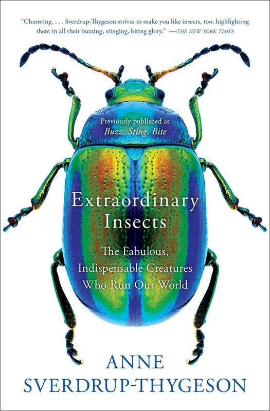 Extraordinary Insects: The Fabulous, Indispensable Creatures