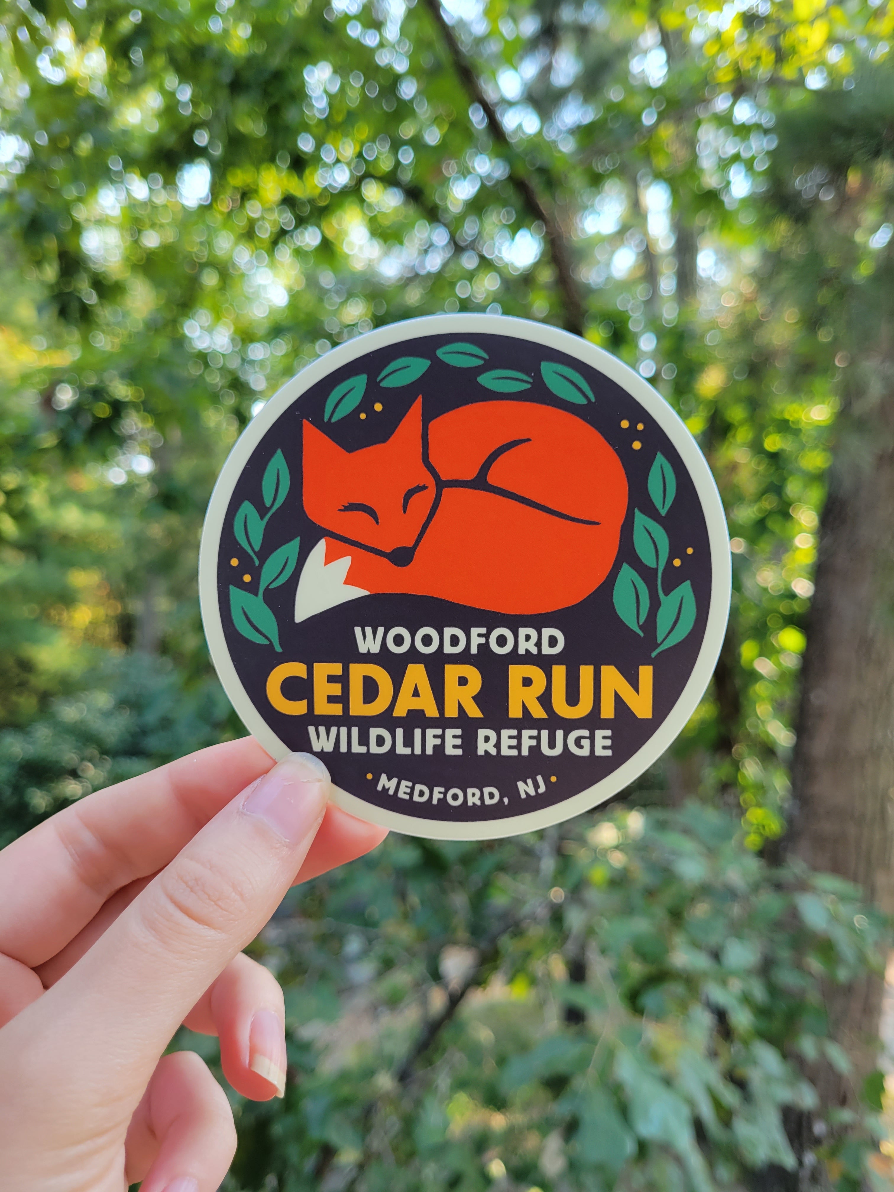 Sleepy Fox Cedar Run Sticker – Woodford Cedar Run Wildlife Refuge