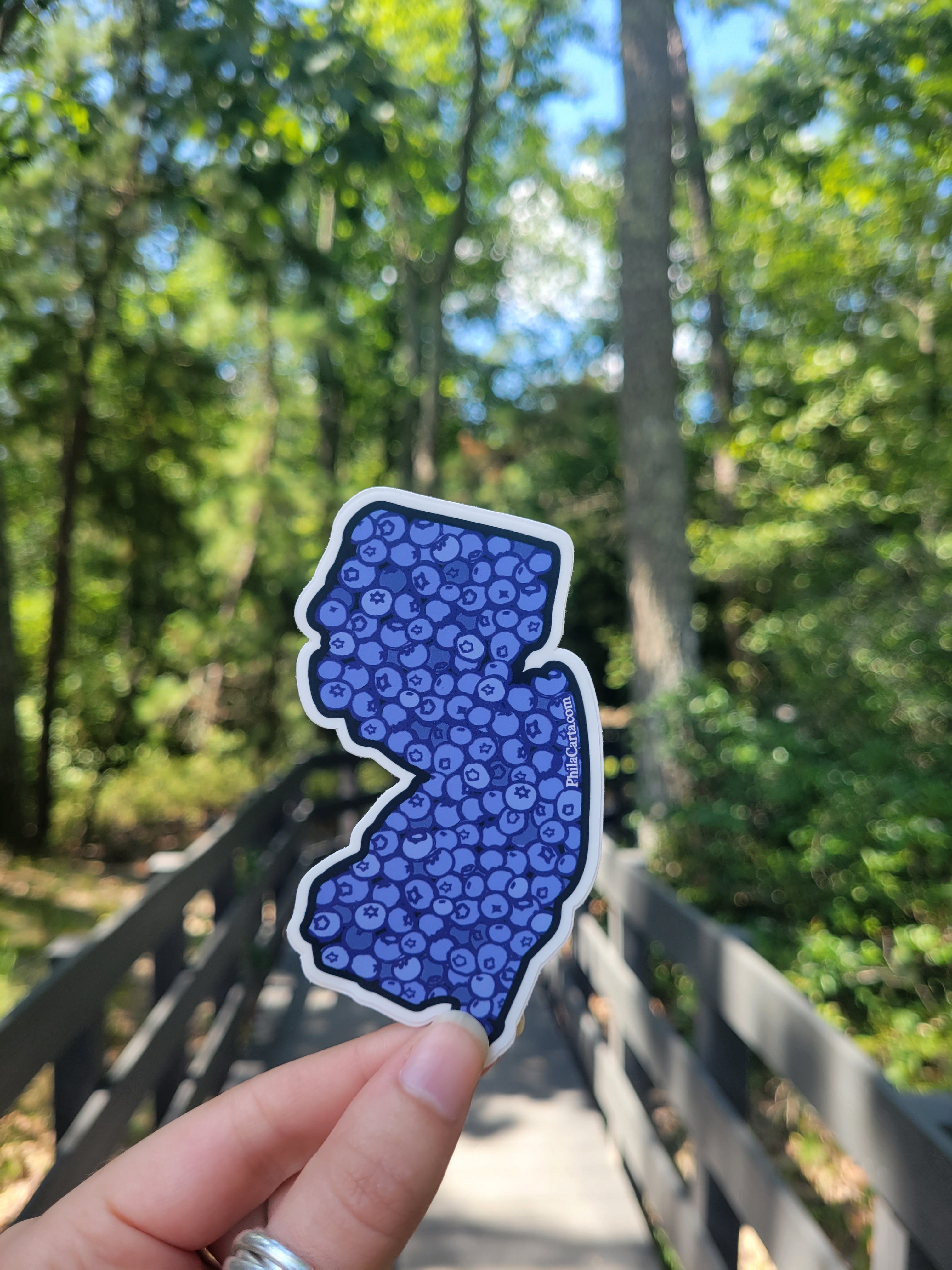NJ Blueberries Sticker