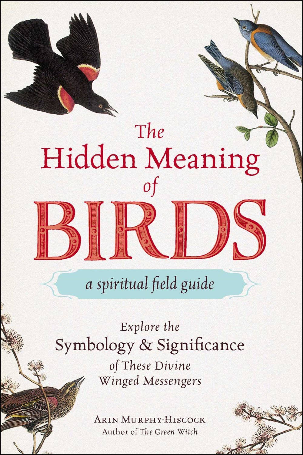Hidden Meaning of Birds