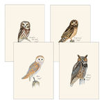 Load image into Gallery viewer, Illustrated 8-pack Boxed Notecard Sets
