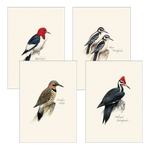 Load image into Gallery viewer, Illustrated 8-pack Boxed Notecard Sets

