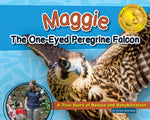 Load image into Gallery viewer, Maggie: The One-Eyed Peregrine Falcon
