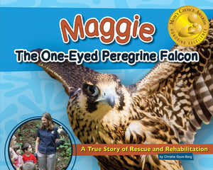 Maggie: The One-Eyed Peregrine Falcon
