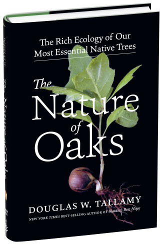 The Nature of Oaks