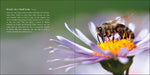 Load image into Gallery viewer, Our Love of Bees
