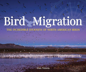 SALE- Bird Migration: The Incredible Journeys of North American Birds