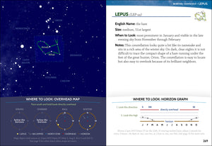 Night Sky: A Field Guide to the Constellations