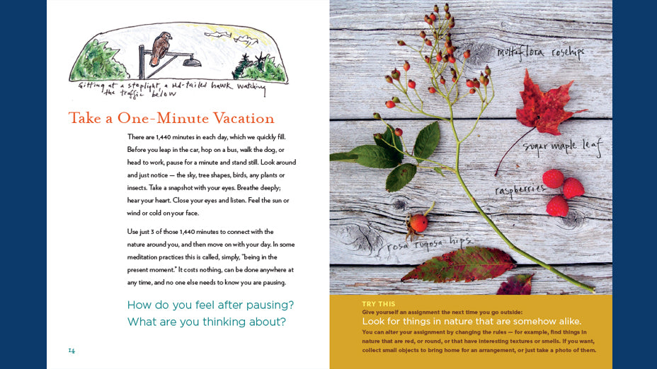 The Curious Nature Guide