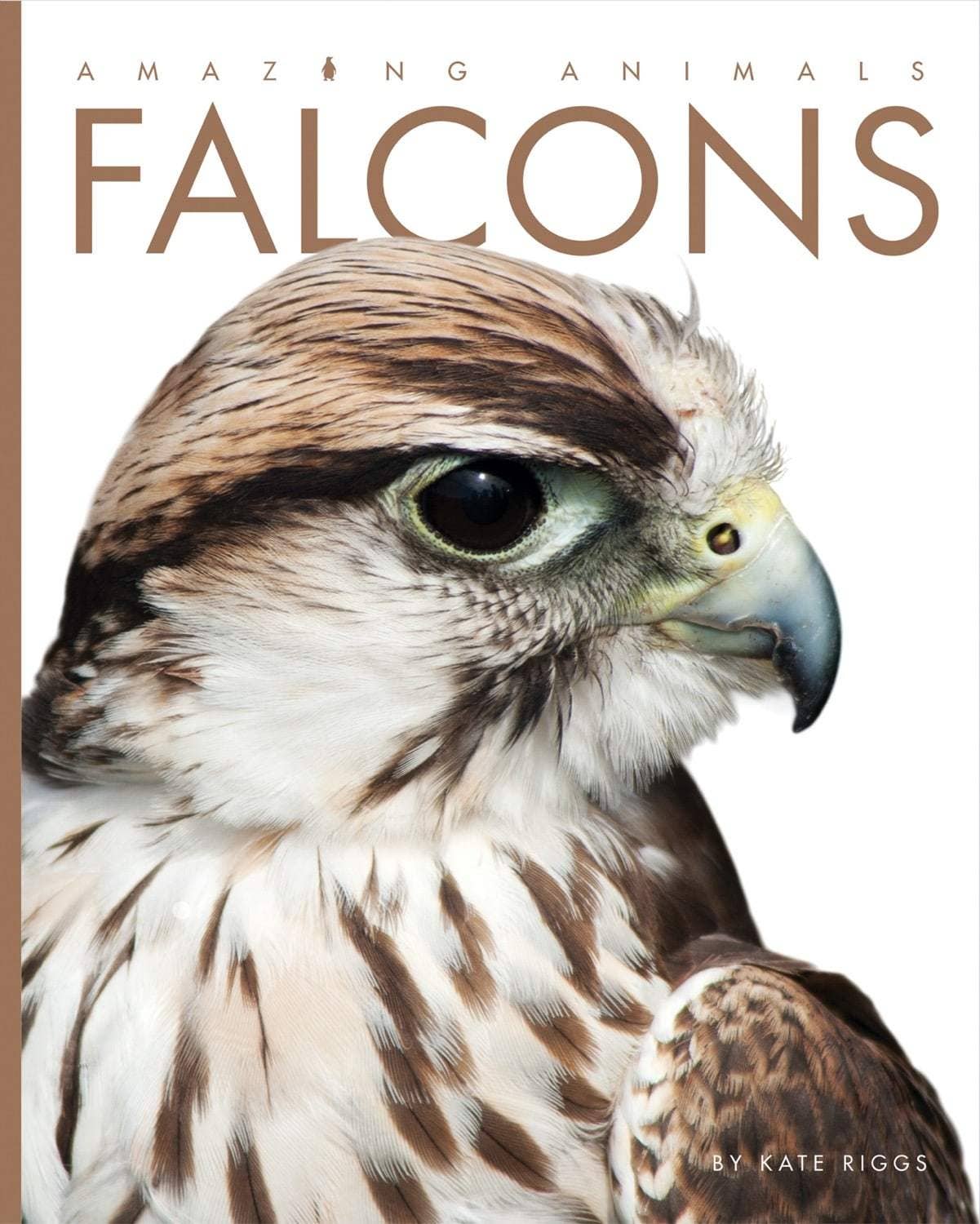 Amazing Animals: Falcons