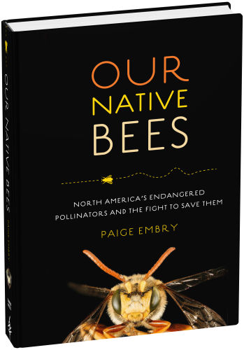 Our Native Bees